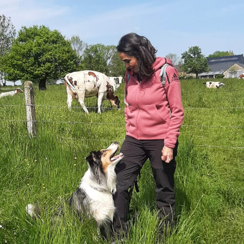 L'Initiation à l'agility pour le chien